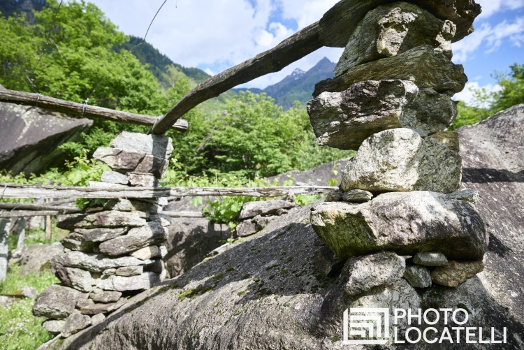 Vigneto Storico Ludiano